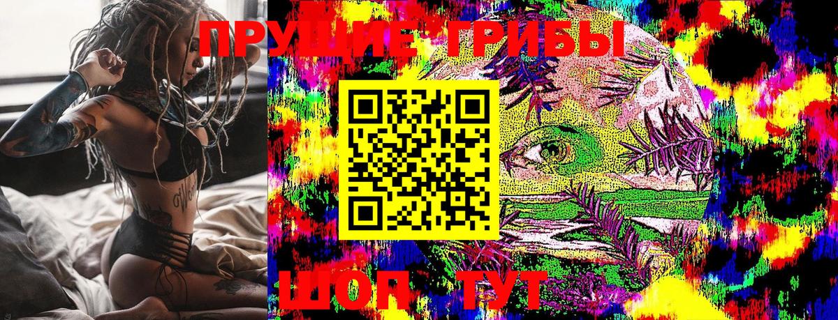 Псилоцибиновые грибы Cubensis  Вход с VPN  Псилоцибиновые грибы Cubensis  Ульяновск 